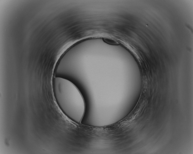 X0000094960959200711291125