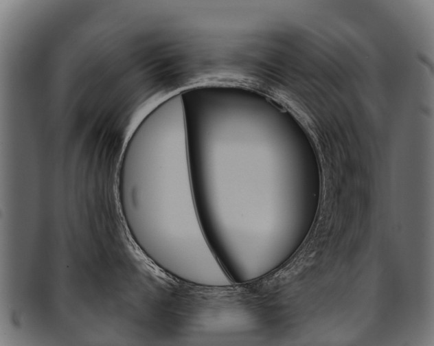X0000094960960200711291125