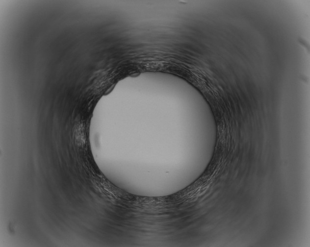 X0000094960962200711291124