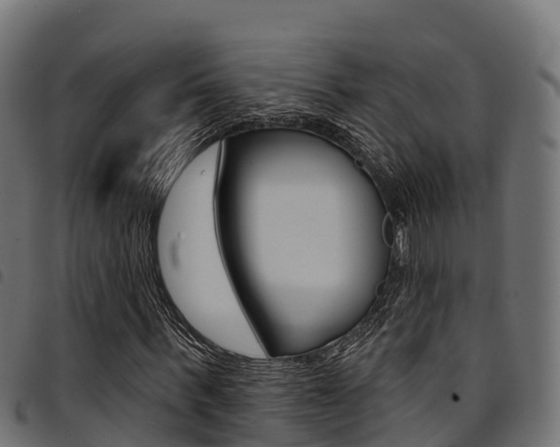 X0000094960963200711291124