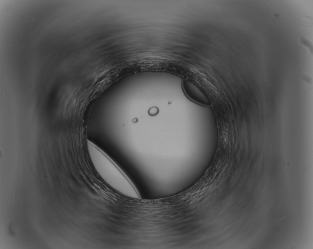 X0000094960964200711291124