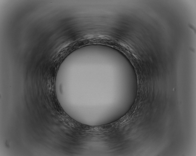X0000094960966200711291124