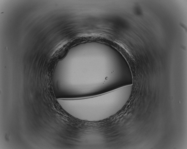 X0000094960967200711291124