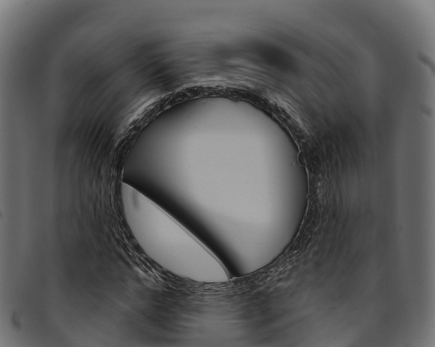 X0000094960968200711291124