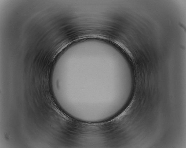 X0000094960969200711291124