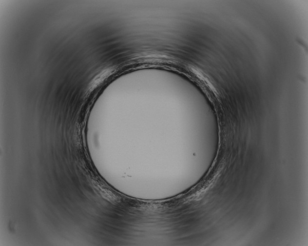 X0000094960970200711291124