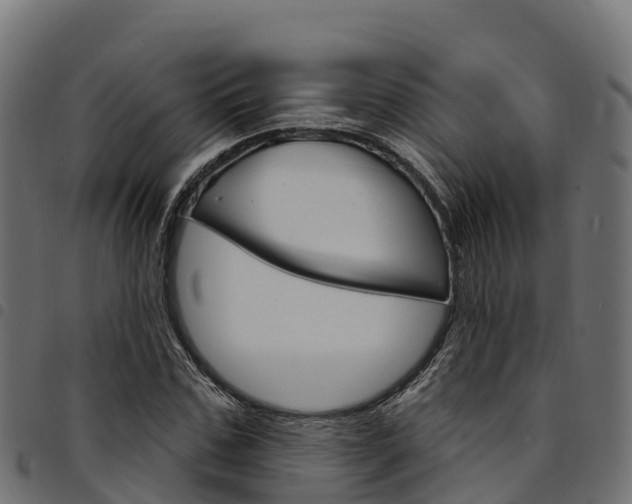 X0000094960971200711291124