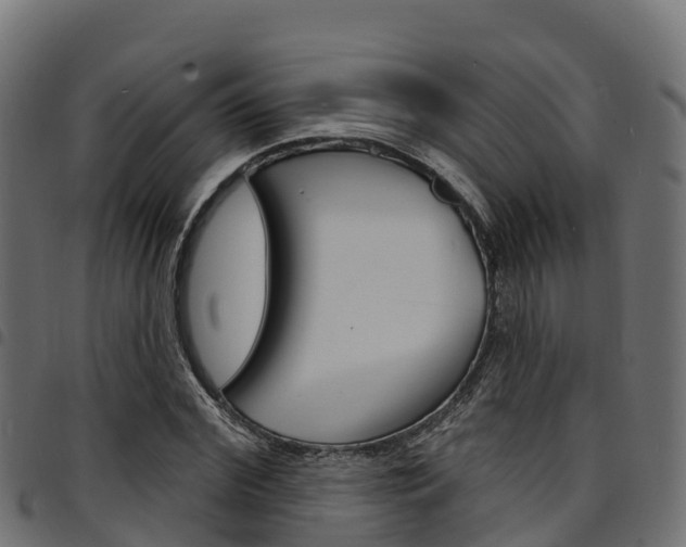 X0000094960972200711291124