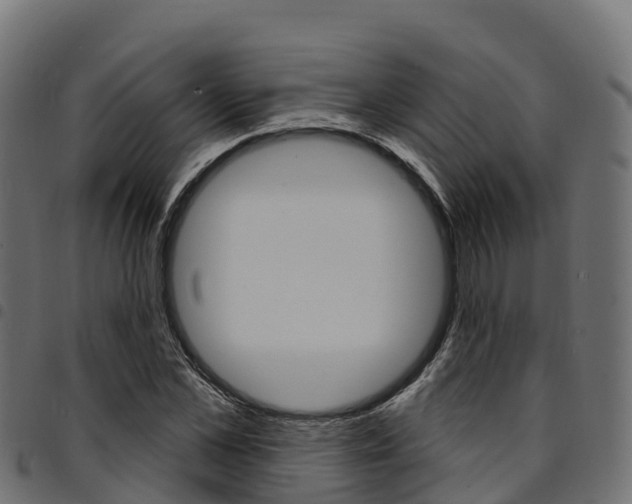 X0000094960973200711291124