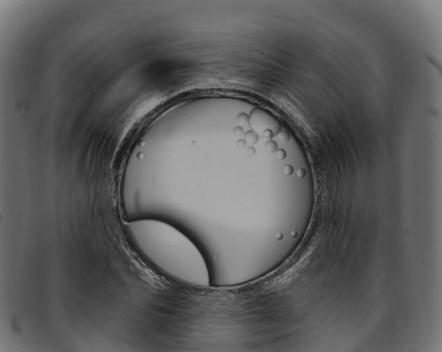 X0000094960974200711291124