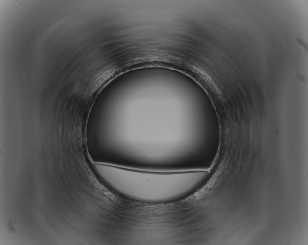 X0000094960977200711291124