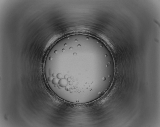 X0000094960978200711291124