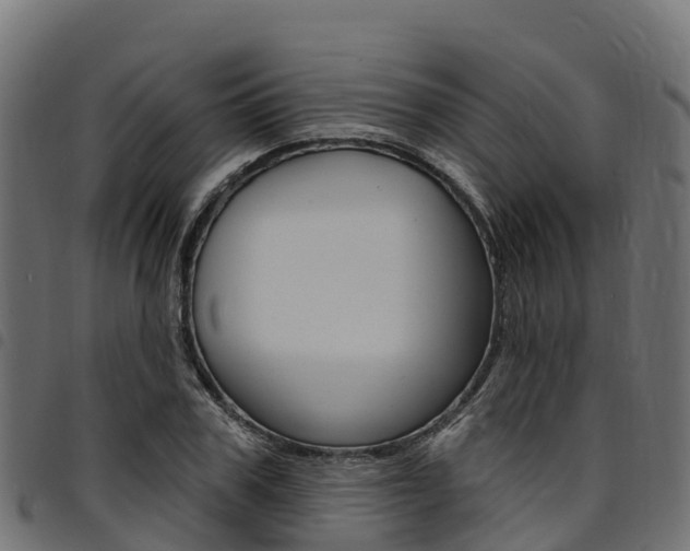 X0000094960979200711291124