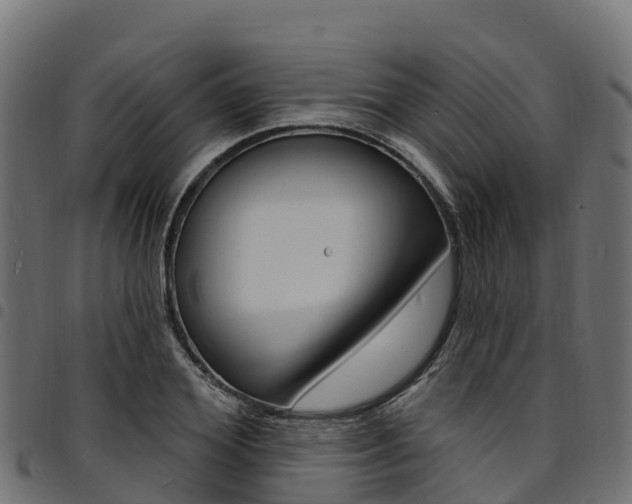 X0000094960980200711291124