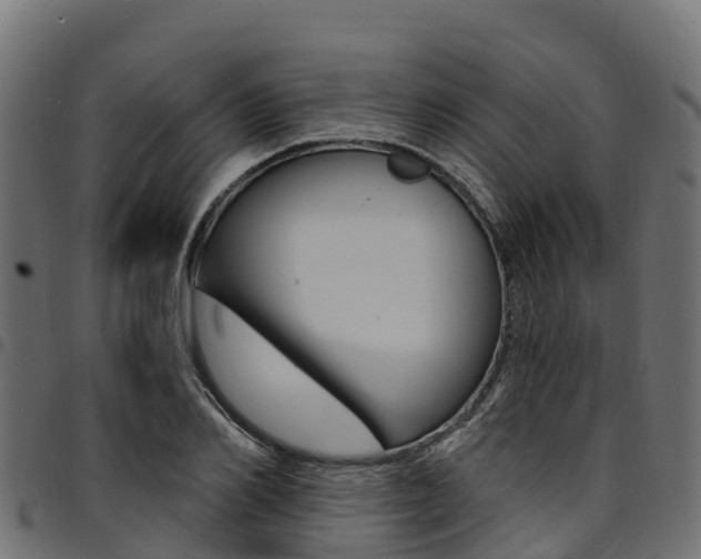 X0000094960982200711291124