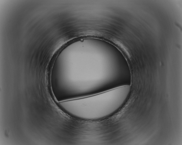 X0000094960983200711291124