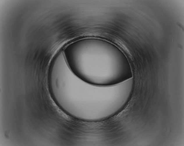 X0000094960984200711291124