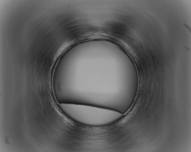 X0000094960986200711291124