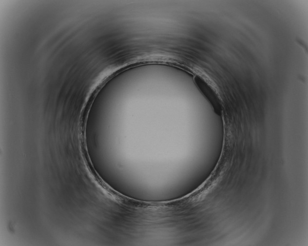 X0000094960989200711291124