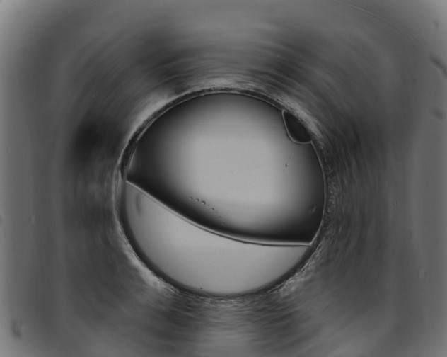 X0000094960991200711291124
