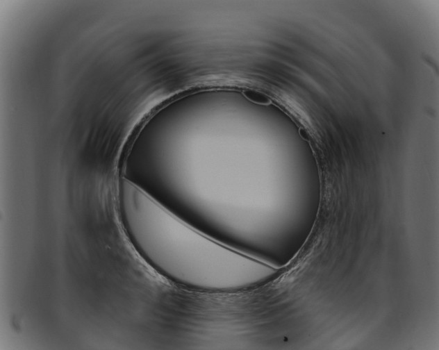 X0000094960992200711291123