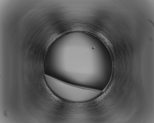 X0000094960993200711291123