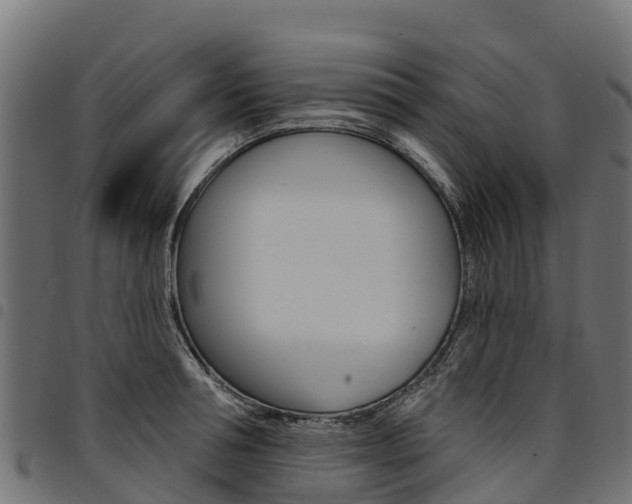 X0000094960994200711291123