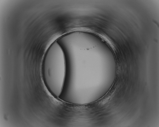 X0000094960999200711291123