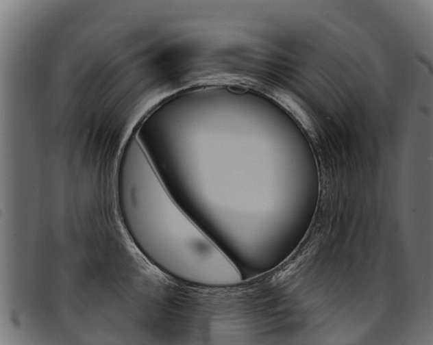 X0000094961000200711291123