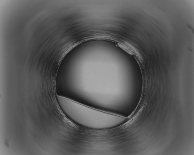 X0000094961001200711291123