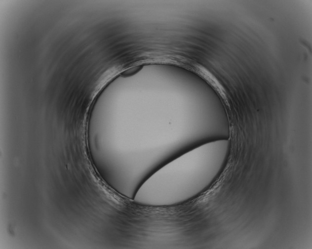 X0000094961002200711291123