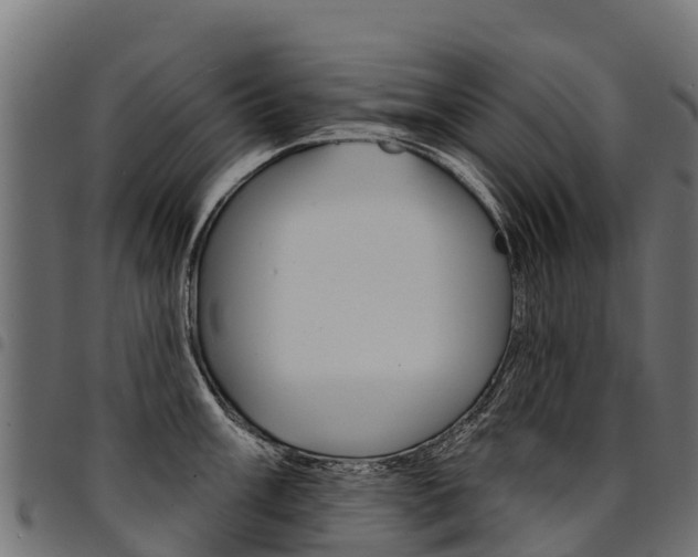 X0000094961003200711291123