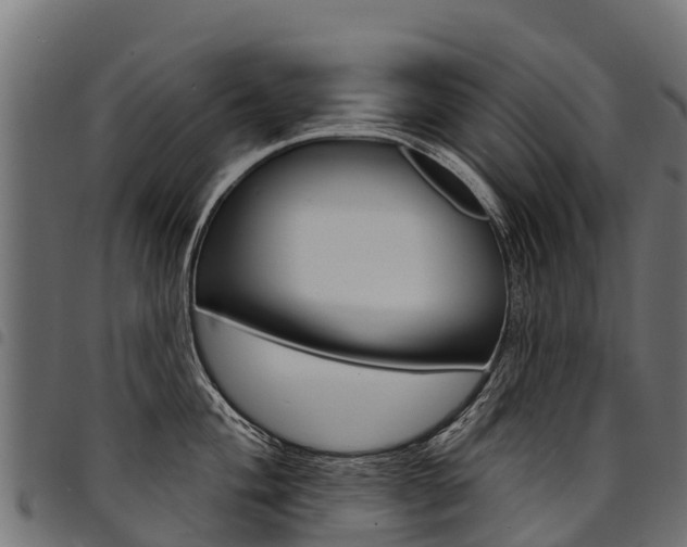 X0000094961004200711291123