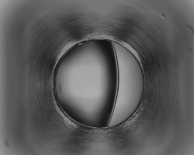 X0000094961005200711291123