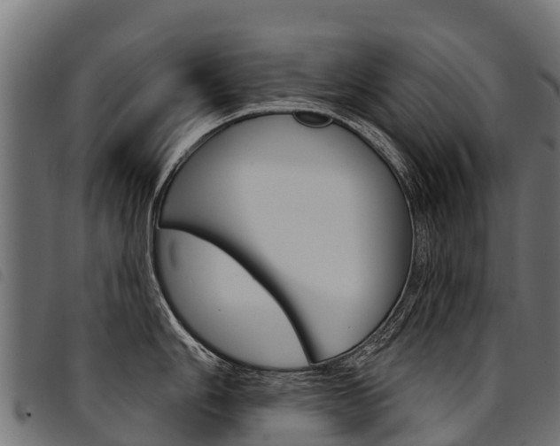 X0000094961006200711291123