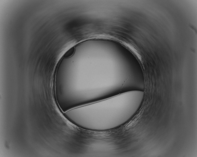 X0000094961007200711291123