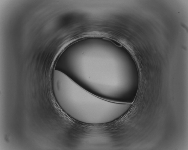 X0000094961008200711291123