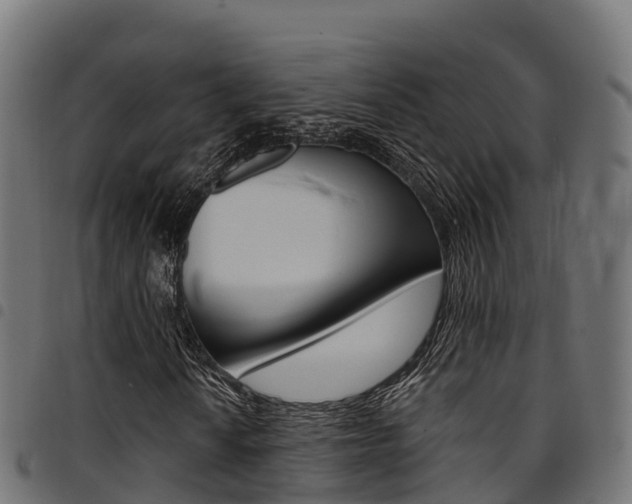 X0000094961010200711291123