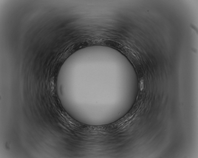 X0000094961011200711291123