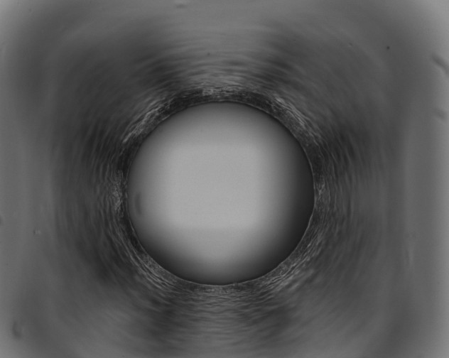 X0000094961012200711291123