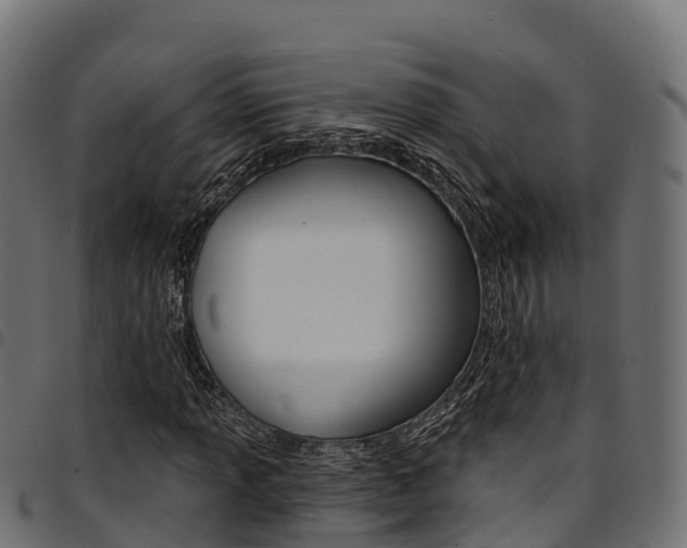 X0000094961013200711291123