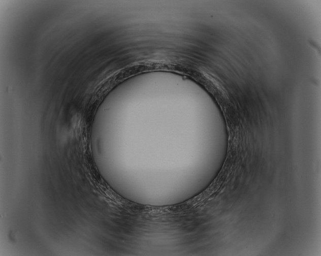 X0000094961015200711291123