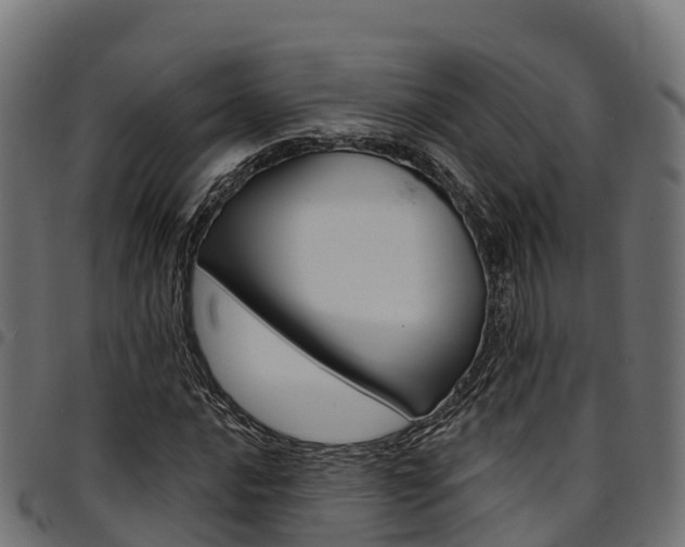 X0000094961016200711291123