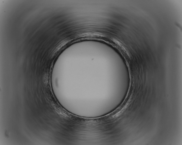 X0000094961017200711291123