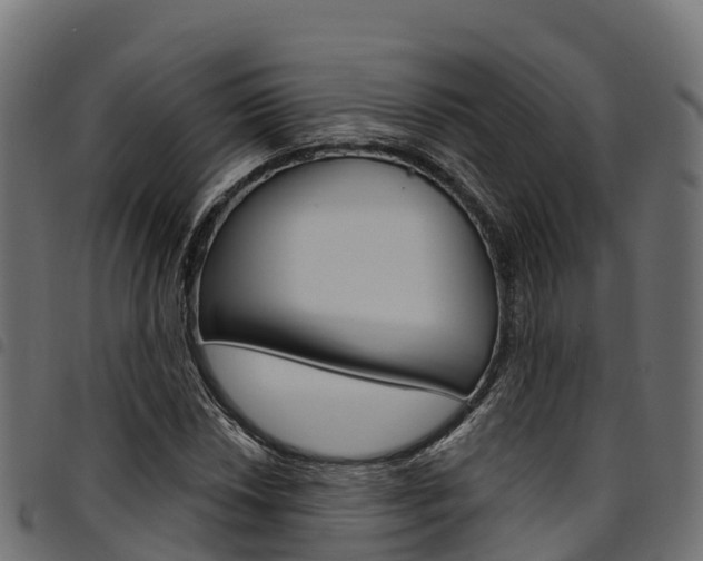 X0000094961018200711291123