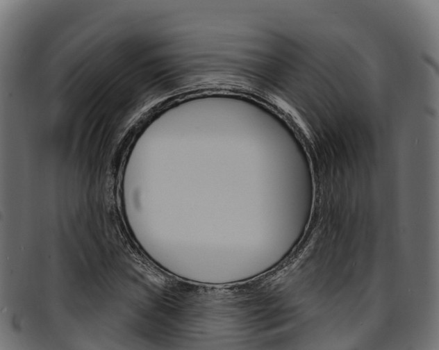 X0000094961019200711291123