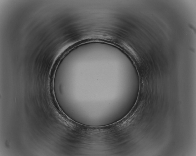 X0000094961020200711291123