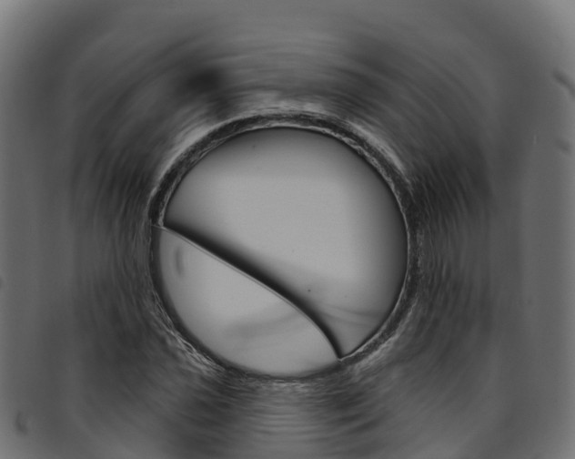 X0000094961021200711291123