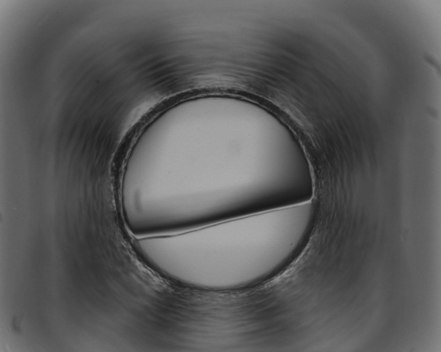 X0000094961022200711291123