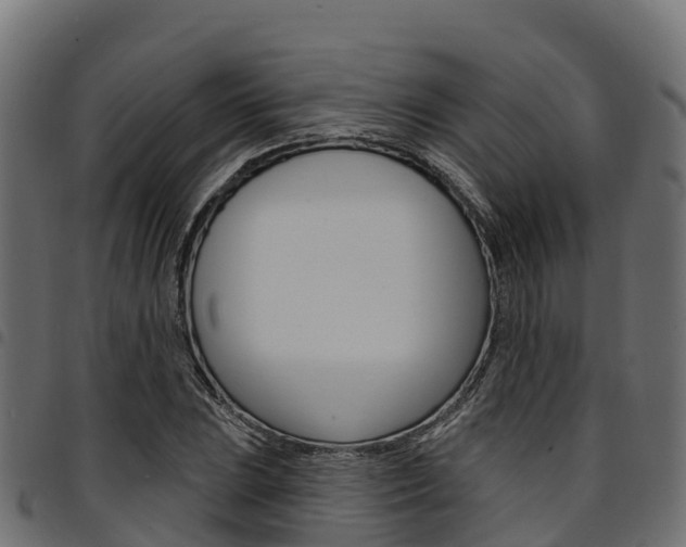 X0000094961023200711291123